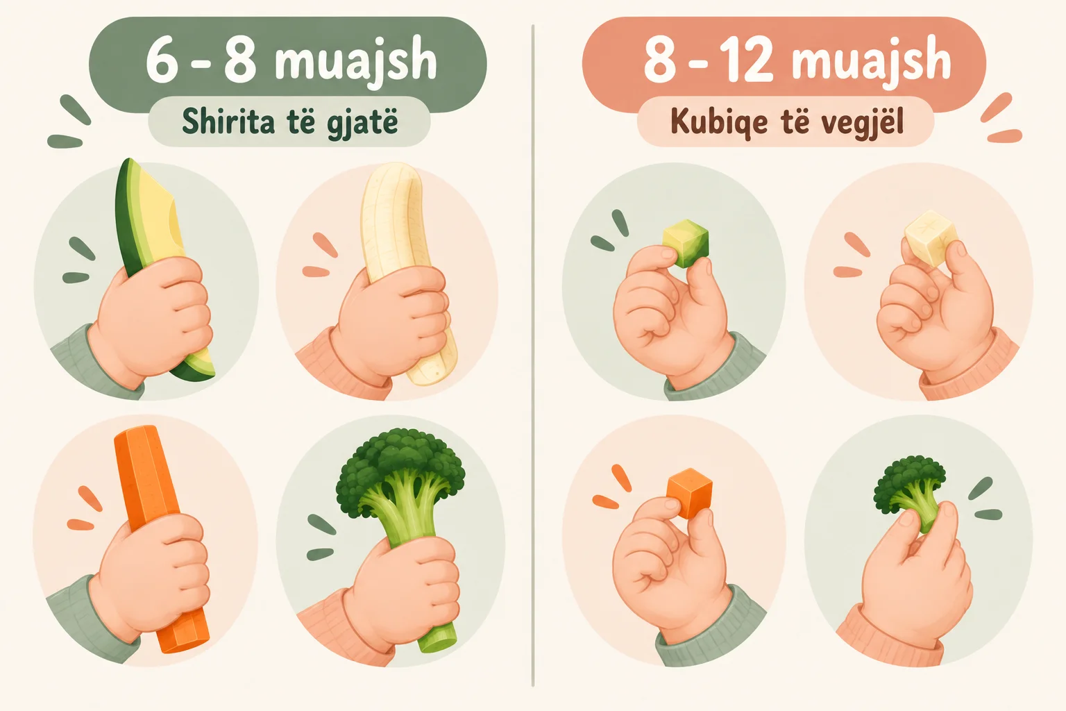 Udhëzues për prerjen sipas moshës: për foshnjat 6–8 muajsh jepen shirita të gjatë që kapen me pëllëmbë, ndërsa për 8–12 muajsh kubikë të vegjël që kapen me majat e gishtave; shfaqen avokado, banane, karotë dhe brokoli